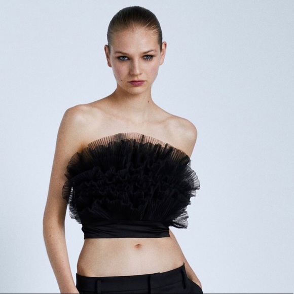 Zara | Tops | Zara Tulle Crop Top | Poshmark